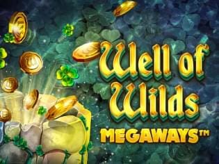 Well of Wilds MegaWays screenshot